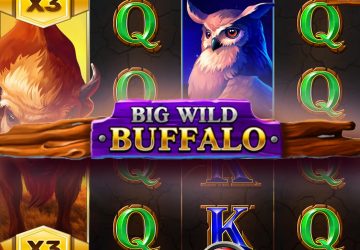 Автомат Big Wild Buffalo в казино БетВиннер
