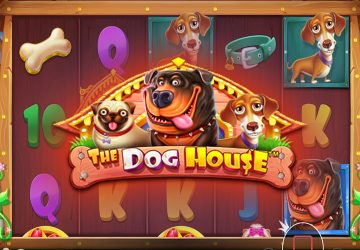 Игра The Dog House в казино БетВиннер